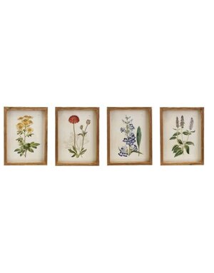 Framed Flower Artwork, Assorted Designs, 11.75 X 15.75 in.