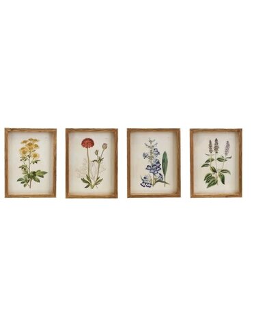 Framed Flower Artwork, Assorted Designs, 11.75 X 15.75 in.