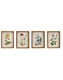 Framed Flower Artwork, Assorted Designs, 11.75 X 15.75 in.