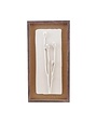 Framed Plaster Cast Botanical & Jute Mat Artwork, White & Brown, 12.5 X 24.25 in.