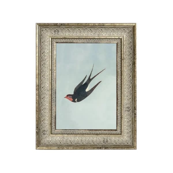 Swallow Boraston, 5 X 7 in.