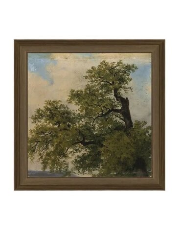 Painted Trees Framed Antique Art, 9 X 9 in.