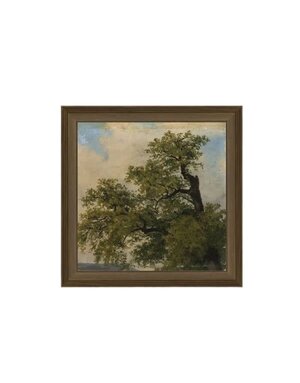 Painted Trees Framed Antique Art, 6 X 6 in.