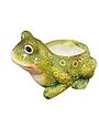 Hazel Frog Planter, 6.8 X 5.3 X 4 in.