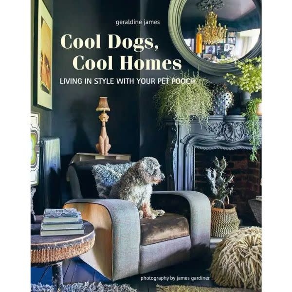 Simon & Schuster Cool Dogs, Cool Homes