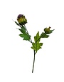 Thistle 2-Bud Stem, 19.5 in., Purple