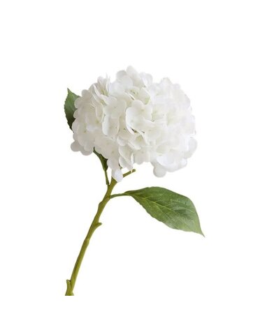 Hydrangea Bloom, 12.5 in., Ivory