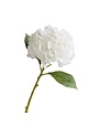 Hydrangea Bloom, 12.5 in., Ivory