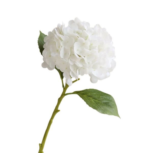 Hydrangea Bloom, 12.5 in., Ivory