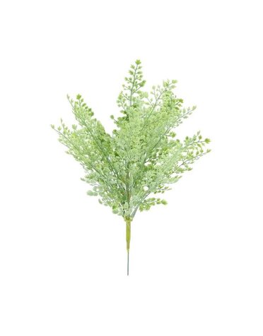 Frilly Fern, 16 in.