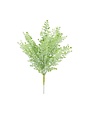 Frilly Fern, 16 in.
