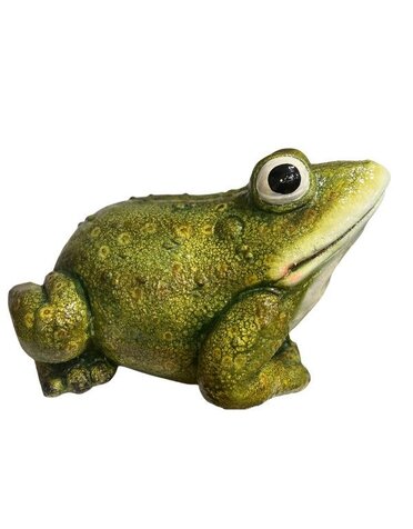 Billy Bullfrog, 18.5 X 14 X 11.5 in.