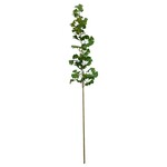 Estate Ginko Branch, 62 in.