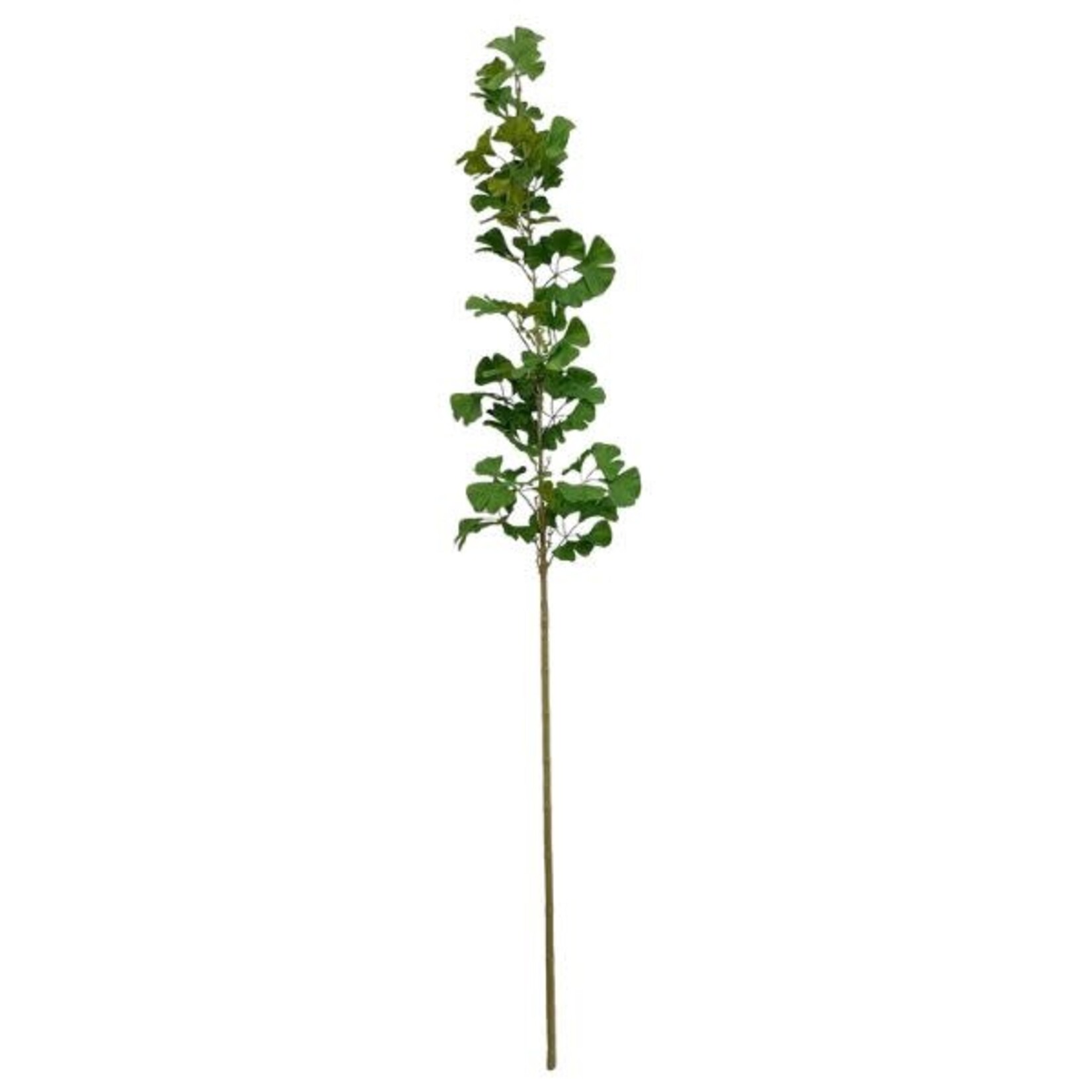 Estate Ginko Branch, 62 in.