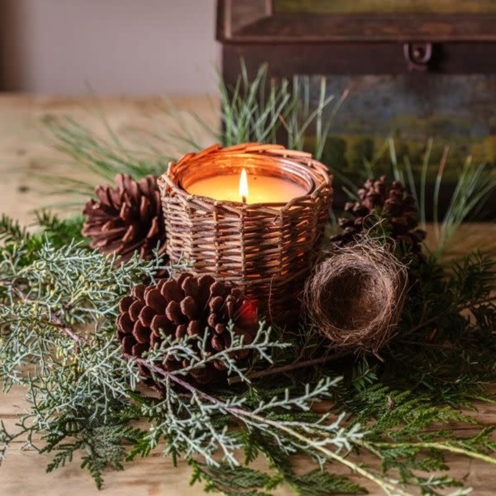 Porch View Christmas Tree Farm Candle, 5 in.
