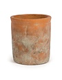 Willow Group Red Cement Cylinder Pot, 5.75 X 6 in.