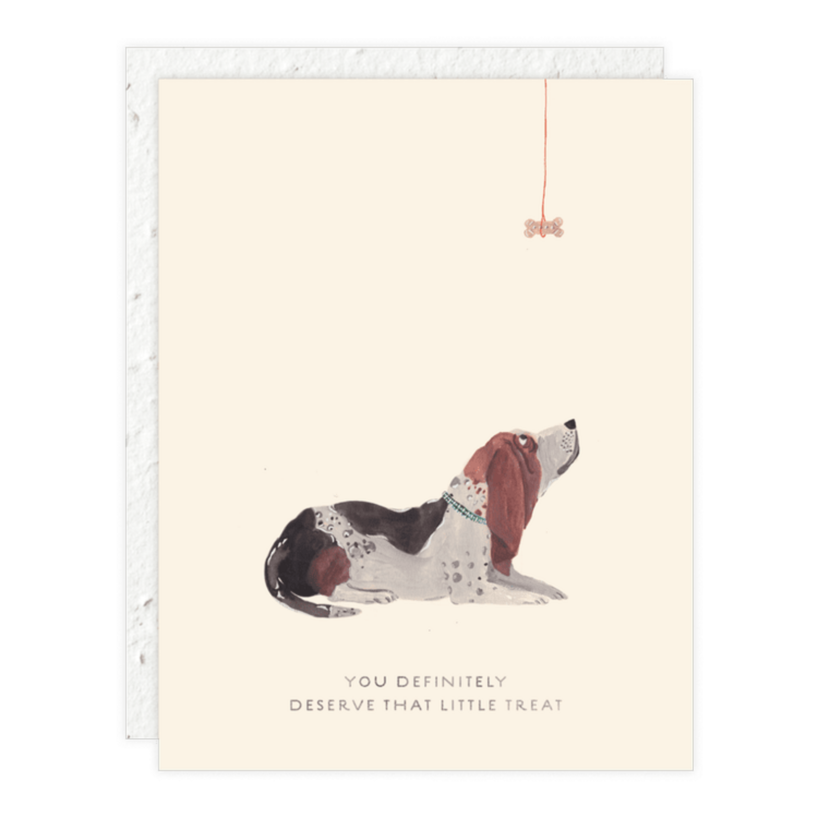 Seedlings Seedlings Cards, Flourish, Basset Hound