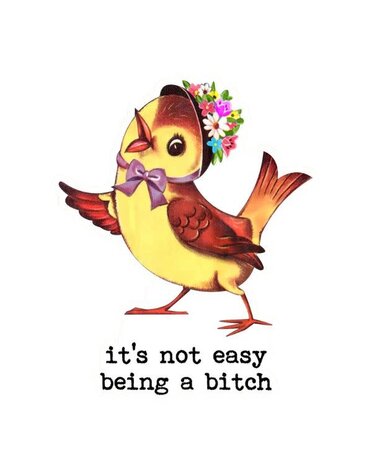 Funny Vintage Sticker Decal, It's Not Easy Being A Bitch