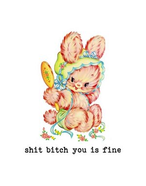 Funny Vintage Sticker Decal, Shit Bitch You Is Fine