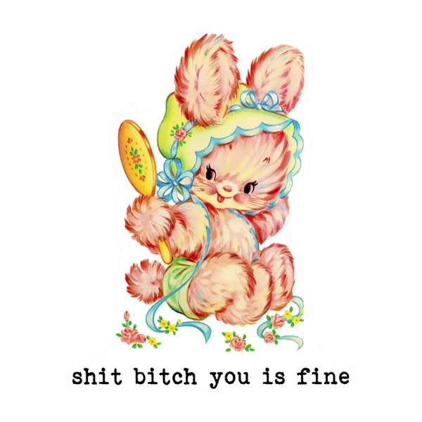 Funny Vintage Sticker Decal, Shit Bitch You Is Fine