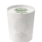 Barr Co Ceramic Embossed 18 oz. Candle, Fir & Grapefruit