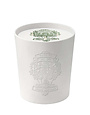 Barr Co Ceramic Embossed 18 oz. Candle, Fir & Grapefruit
