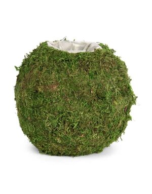 Willow Group Round Moss Planter with Sewn Liner, 6.5 in.