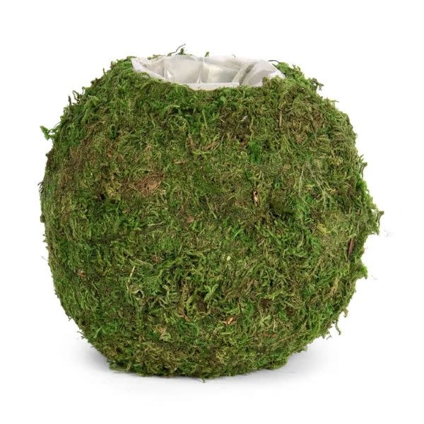 Willow Group Round Moss Planter with Sewn Liner, 6.5 in.