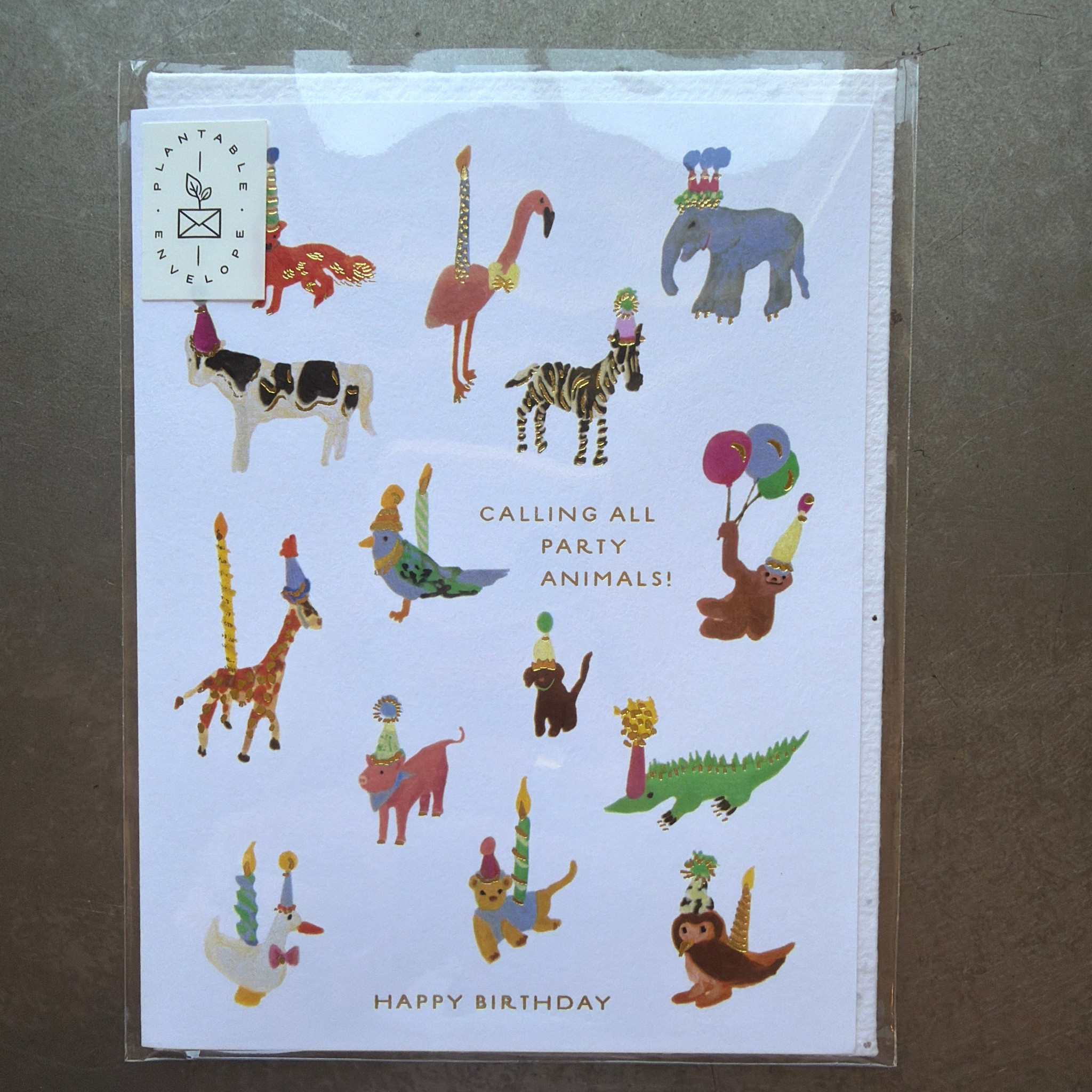 Seedlings Seedlings Cards, Animal Party Birthday