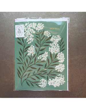 Seedlings Seedlings Cards, Grateful Thank You