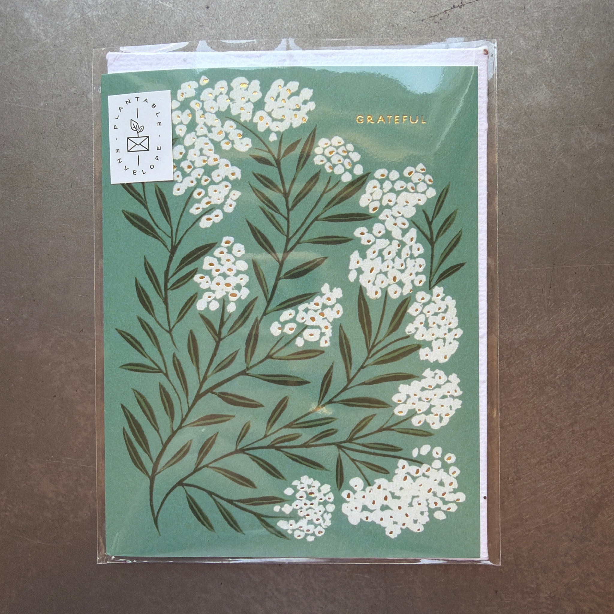 Seedlings Seedlings Cards, Grateful Thank You