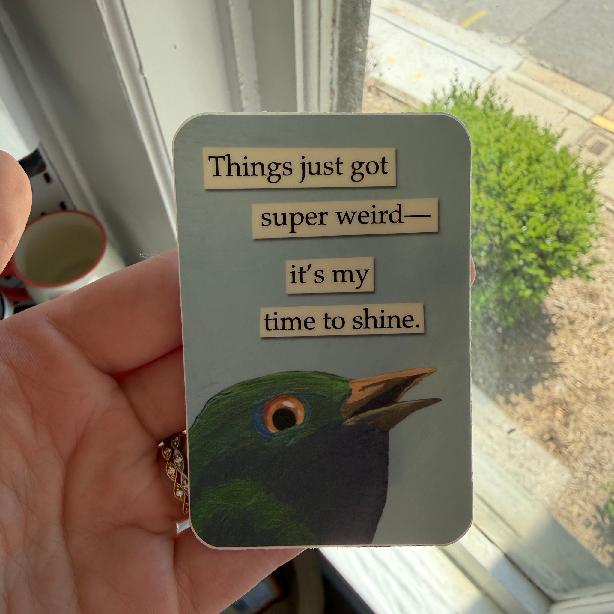 The Mincing Mockingbird Funny Vinyl Sticker, Weird