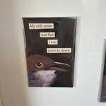 The Mincing Mockingbird Funny Magnet, Down to Clown