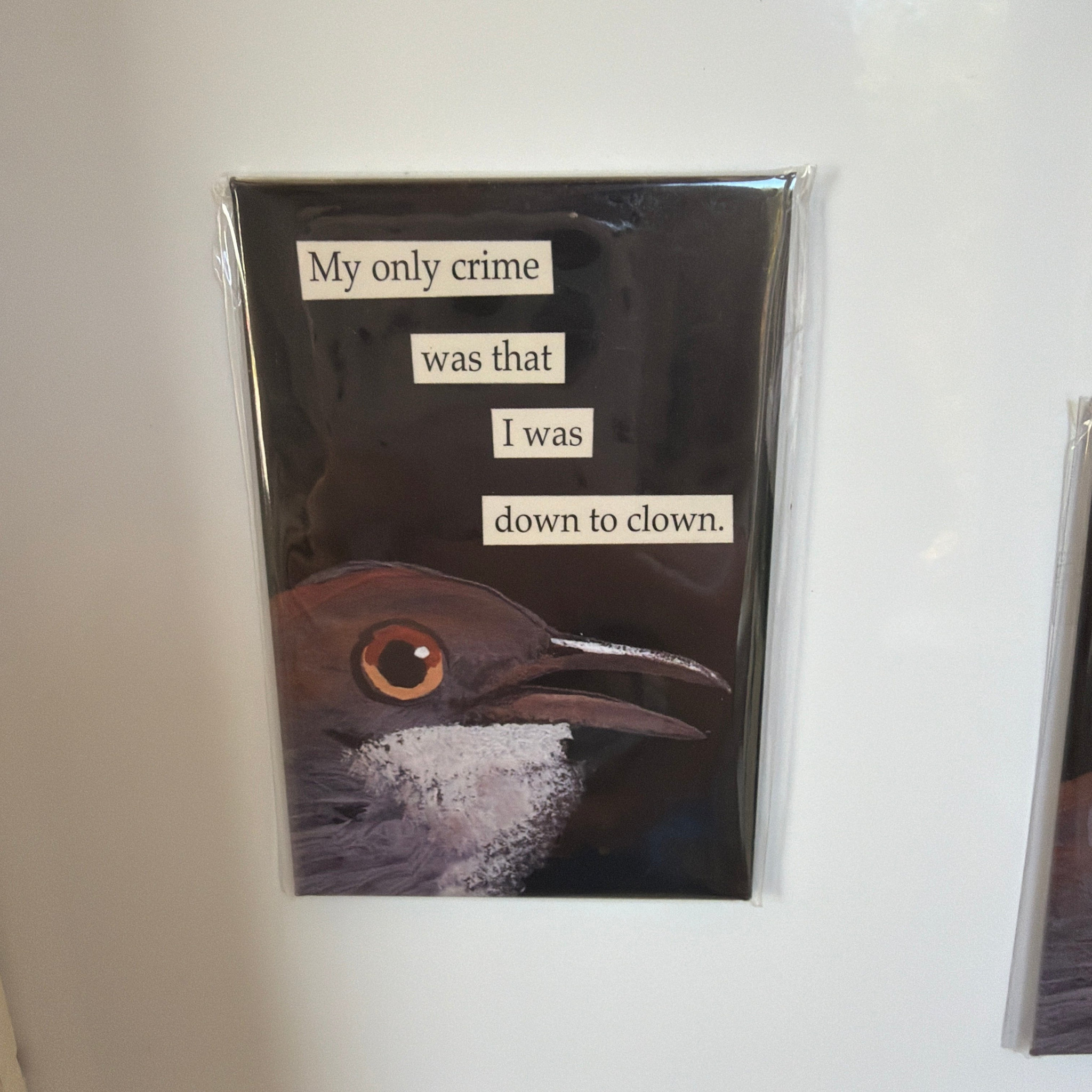 The Mincing Mockingbird Funny Magnet, Down to Clown