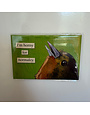 The Mincing Mockingbird Funny Magnet, Horny For Normalcy