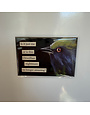 The Mincing Mockingbird Funny Magnet, Orwellian Nightmare