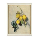 Branch of A Lemon Tree Framed Antique Art, 7 X 9 in.