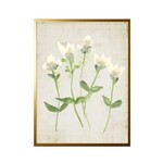Antique Curiosities Inc Tissue and Watercolor Ivory Flowers, Black Frame, 10 X 8 in.