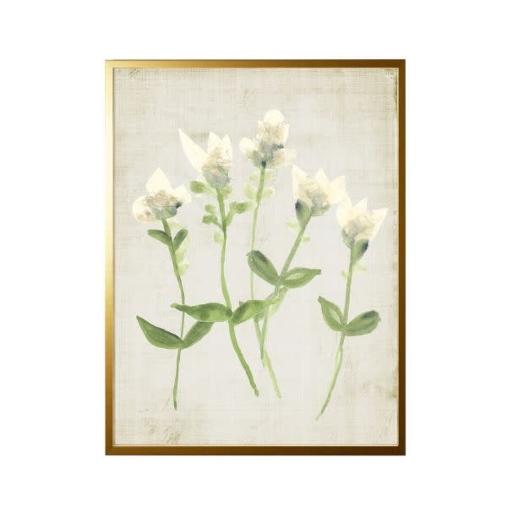 Antique Curiosities Inc Tissue and Watercolor Ivory Flowers, Black Frame, 10 X 8 in.
