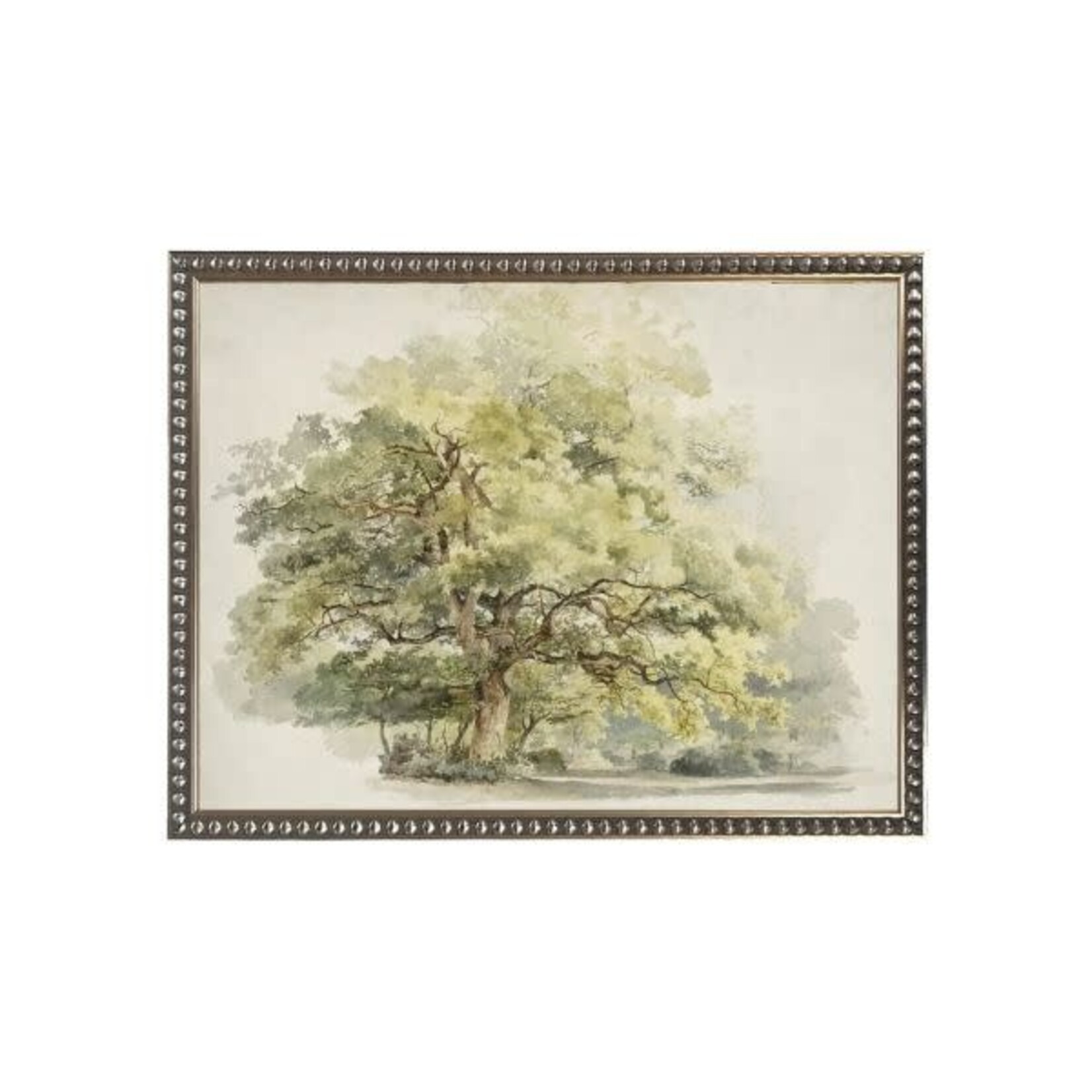 Antique Curiosities Inc Vintage Watercolor Tree, Black Beaded Frame, 10 X 8 in.