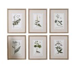 Green Floral Botanical Framed Prints, Assorted Designs, Priced Individually, 18 X 23 X 2 in.