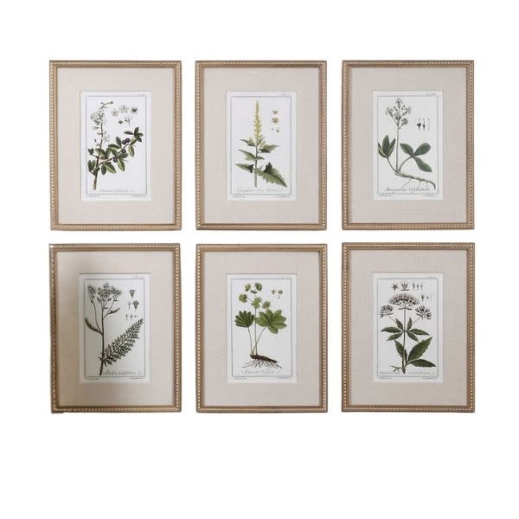 Green Floral Botanical Framed Prints, Assorted Designs, Priced Individually, 18 X 23 X 2 in.