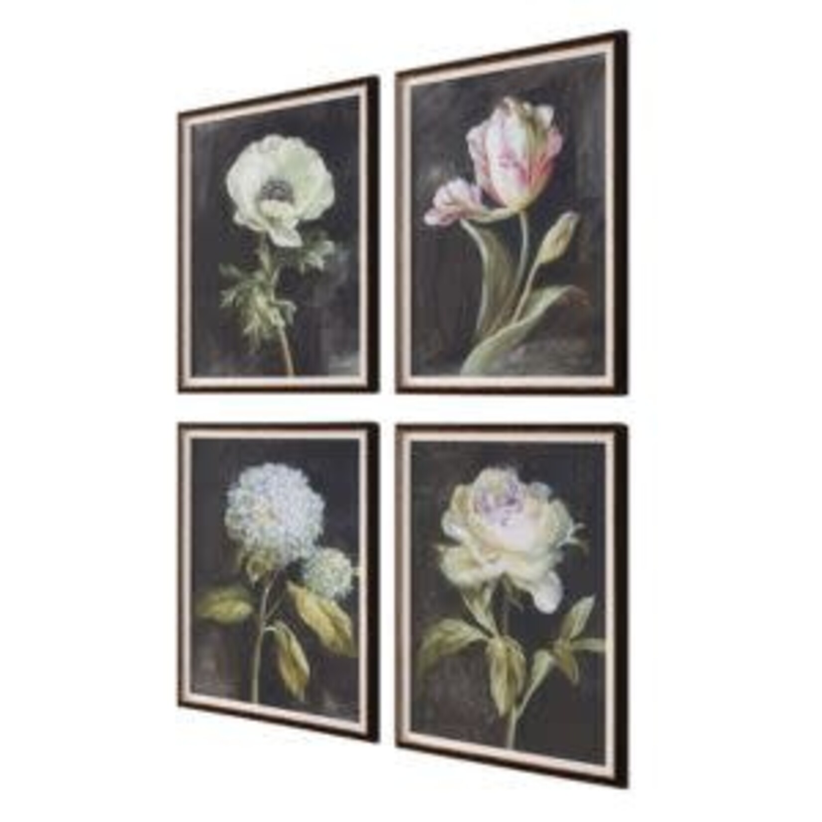 Traditional Botanical Print with Black Frame, Assorted Designs, 20 X 26 in.