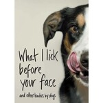 Simon & Schuster What I Lick Before Your Face