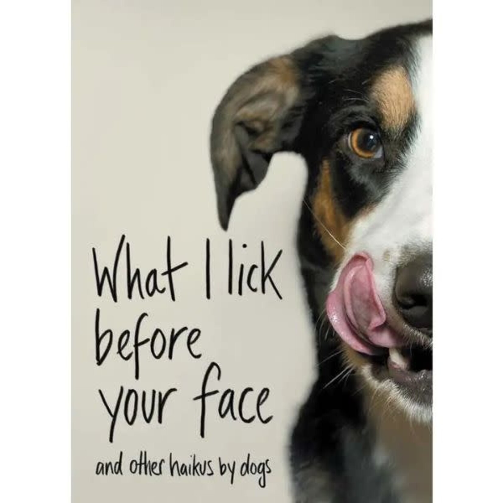 Simon & Schuster What I Lick Before Your Face