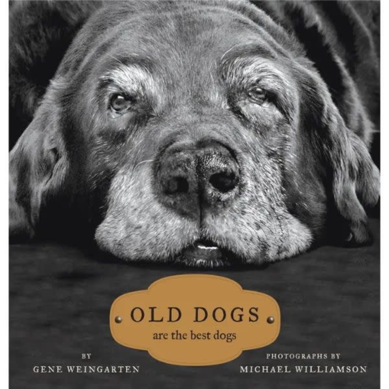 Simon & Schuster Old Dogs