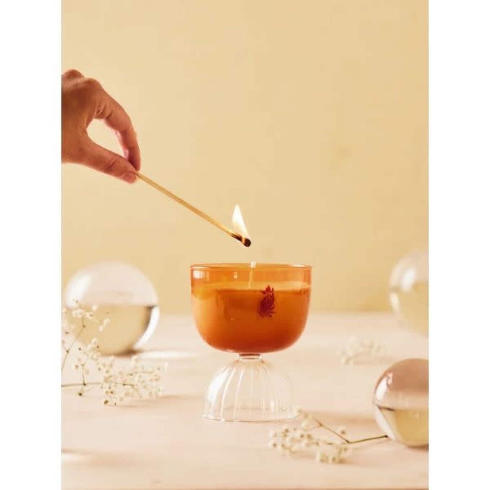 Rewined Coupe Candle, 7 oz., Mimosa