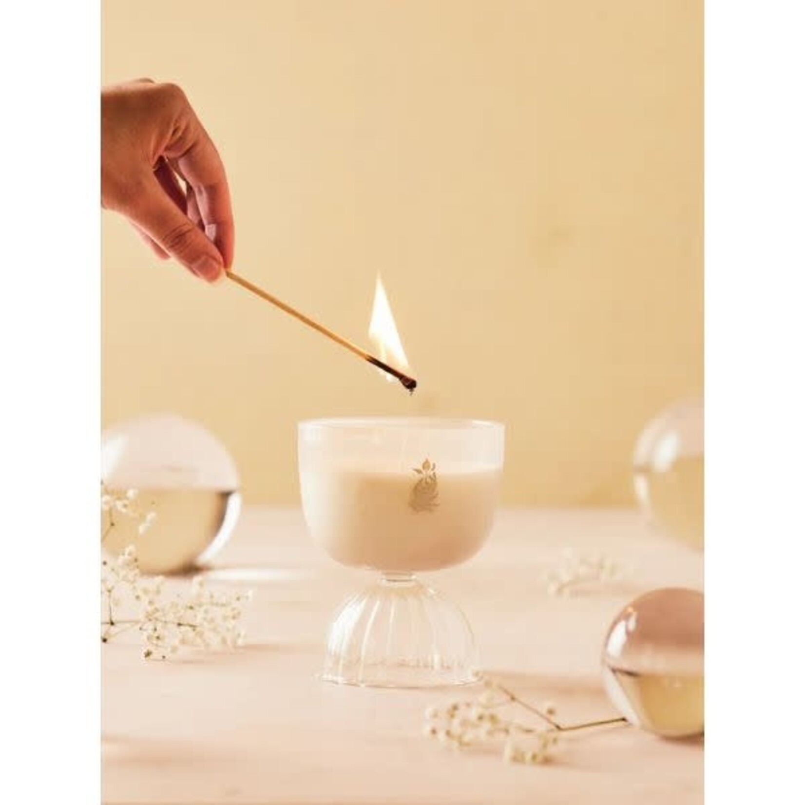 Rewined Coupe Candle, 7 oz., Prosecco