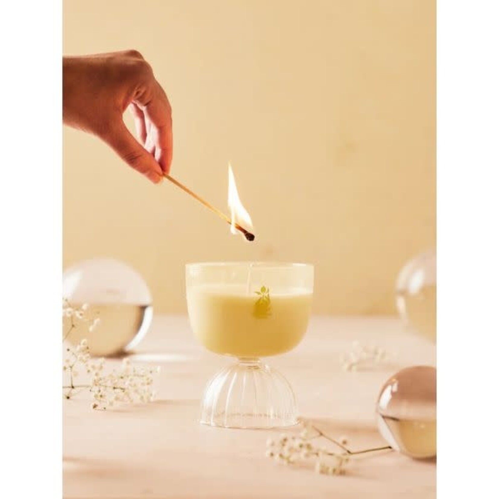 Rewined Coupe Candle, 7 oz., Champagne