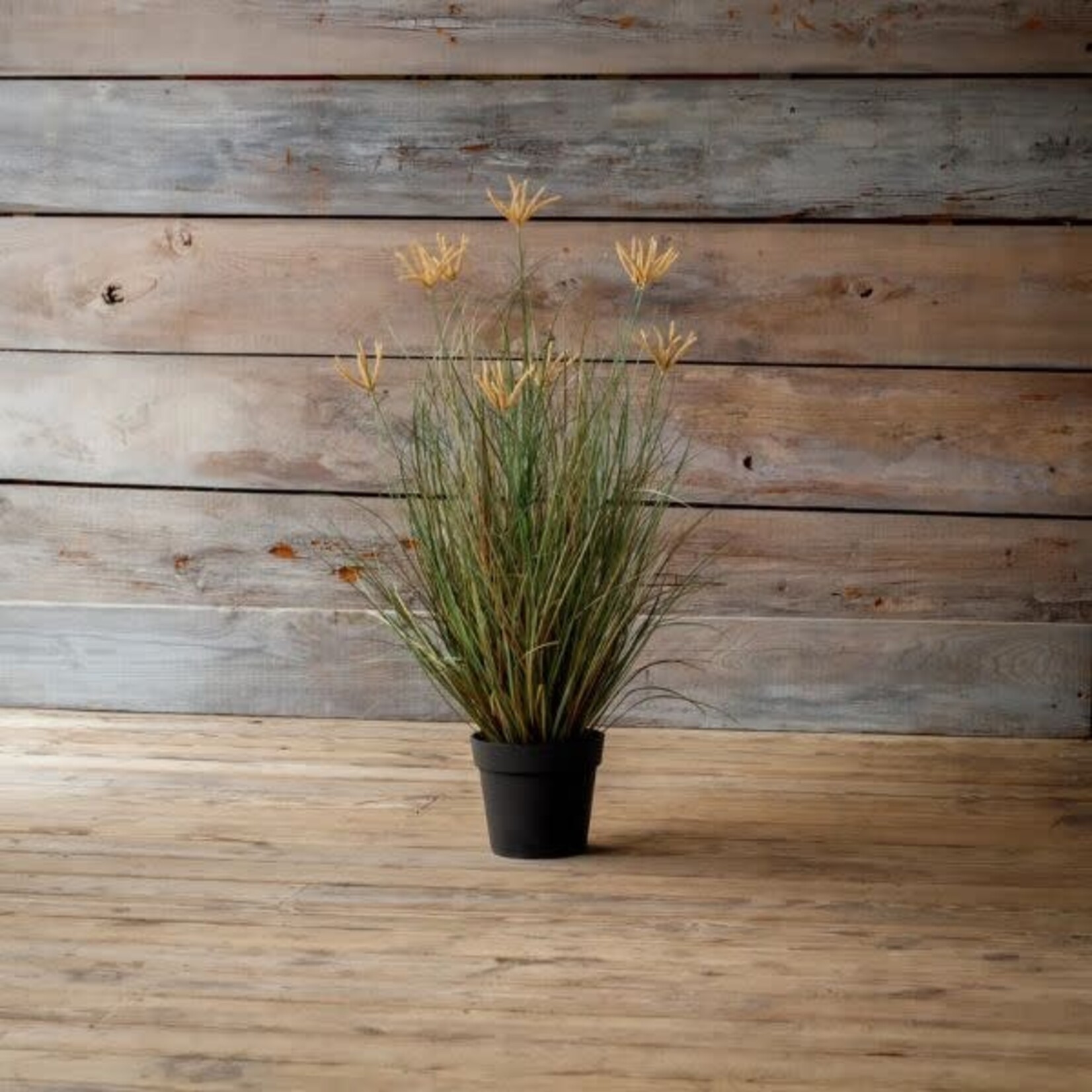 Potted Pasture Grass, 39.375 X 27.5 X 39.375 in.